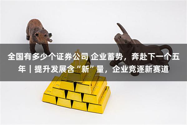 全国有多少个证券公司 企业蓄势，奔赴下一个五年｜提升发展含“新”量，企业竞逐新赛道